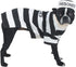 Prison Pooch Costume for Dogs, Medium, 16", Black and White