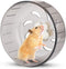 Silent Hamster Exercise Wheels - 5.2 inches Hamster Toys, Small Pet Running Toy Ball for Gerbils, Mice, Rat, Guinea Pig