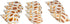 12 3/4"- 2" Hermit Crab Shells | Turbo Shells | Babylonia Aerolata Turbo Shells | Hermit Crab House for Dcor | Plus