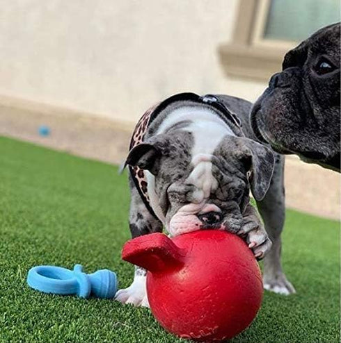 Tug N Toss Jolly Balls - 6in Assorted Colors