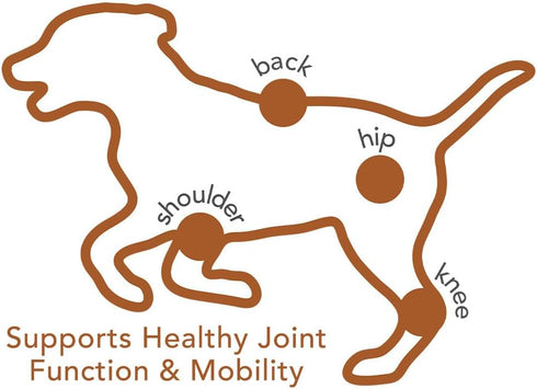 Vet's Best Hip & Joint Soft Chew Dog Supplements - Glucosamine & Chondroitin for Joint Health - 30 Day Supply