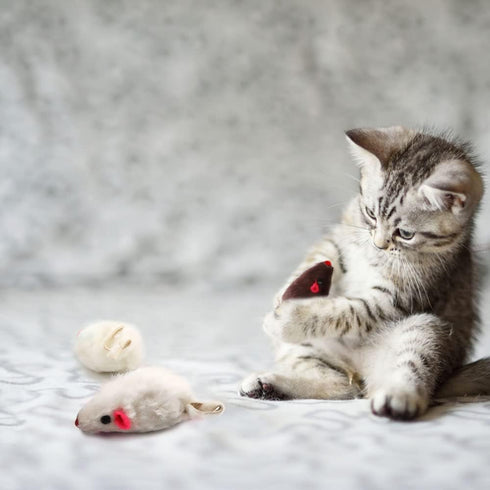 pawstrip Rabbit Fur Cat Toys, Interactive Mouse with Rattle, 12Pcs Realistic Squeaky Cat Toys