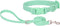 Ovale Waterproof Dog Collar and Leash Combo Set, Durable and Easy to Clean for Small Dogs (S, Light Green)