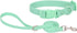 Ovale Waterproof Dog Collar and Leash Combo Set, Durable and Easy to Clean for Small Dogs (S, Light Green)