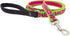 Lupine Dog Leash, 6-foot by 3/4" wide, Petunias