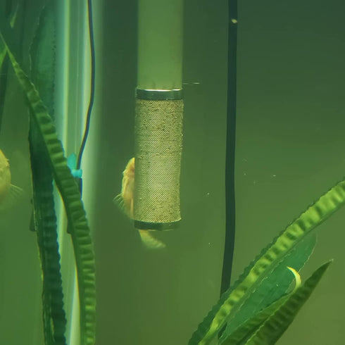 12mm Stainless Steel Aquarium Inflow Inlet Filter, Fish Shrimp Mesh Net Filter Guard for Fish Tank.