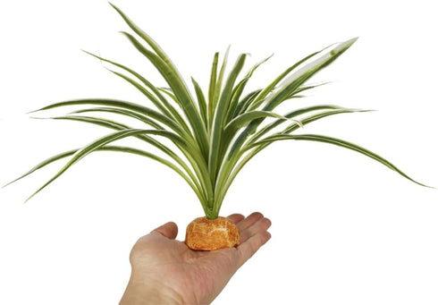 WOLEDOE Artificial Spider Plants, Reptile Terrarium Decor, Bearded Dragon Tank Accessories fit Crested Gecko Leopard
