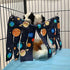 Guinea Pig Hideout, Fleece Forest Corner Hideaway for Guinea Pigs, Ferrets, Chinchillas, Rats, Bunny & Small Animals