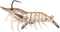 Generic Fishing Lure Shrimp Jig Bait lsh95sk 3/8oz Color # 3/8oz Clear lsh95sk919