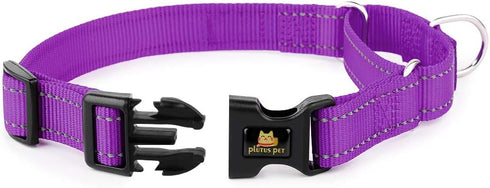 PLUTUS PET Reflective Martingale Collar with Quick Snap Buckle, No Pull Choker for Small Medium Large Dogs, L, Purple