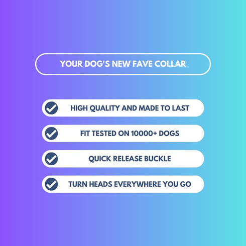 Spark Paws Tactical Dog Collar - Premium Quality, Robust Durable Design for Large Strong Breeds - Pitbulls, Boxers -