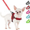 SlowTon No Pull Small Dog Harness & Leash Set, Adjustable Soft Vest Harness for Small Medium Dogs (R-Front Clip, S)