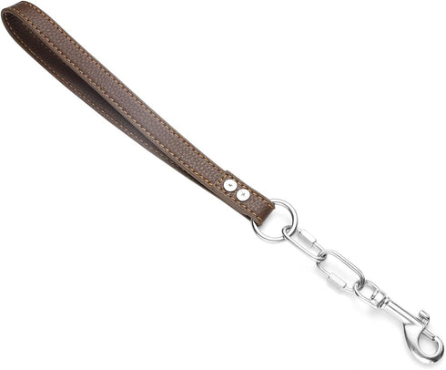 Heavy Duty Dog Chain Leash 4FT/6FT, Chew Proof Stainless Steel Link Leash for Large Medium Dogs, Adjustable Long/Short