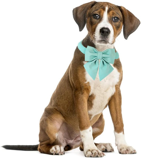 Maca Bates Dog Collar with Bow Bowtie for Dogs, Adjustable Breakaway Green Collars
