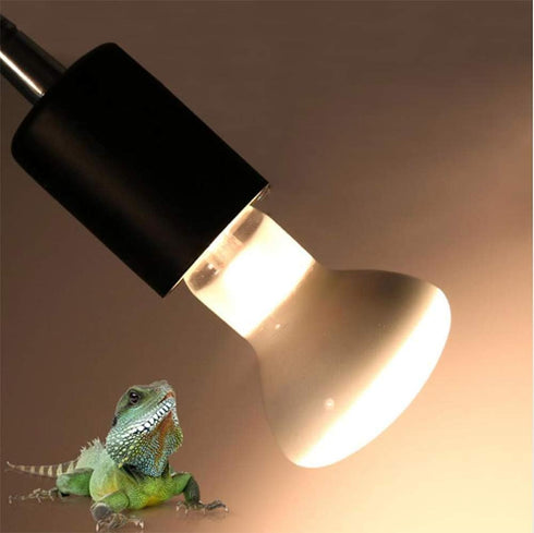 100W Basking Spot Heat Lamp Bulbs, 110V Reptile Mercury Vapor Bulbs for Reptile and Amphibian Use (2 Pack)