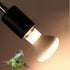 100W Basking Spot Heat Lamp Bulbs, 110V Reptile Mercury Vapor Bulbs for Reptile and Amphibian Use (2 Pack)