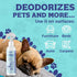 Pets Pet Deodorant & Odor Neutralizer w/Oat & Aloe | Naturally Derived Quick-Drying Deodorizer Spray for Dogs | Safe on