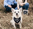 Big Brother Dog Bandana - Reversible Triangle Bibs Pet Scarf