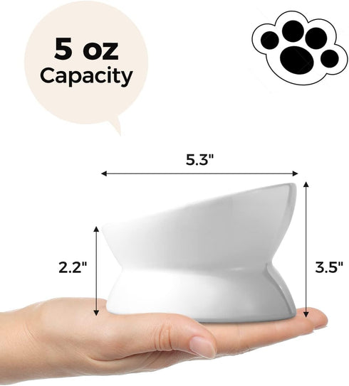 Elevated Cat Food Bowl, 5 Oz Ceramic Raised and Tilted Water Bowl, Anti Vomiting Dishes for Small Dogs and Cats, White