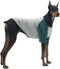 Dog Shirt for Small and Large Dogs - Raglan Cotton T-Shirts, Soft Breathable Pet Clothes (X-Large, Gray/Green)