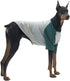 Dog Shirt for Small and Large Dogs - Raglan Cotton T-Shirts, Soft Breathable Pet Clothes (X-Large, Gray/Green)
