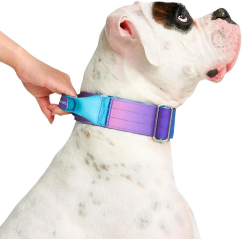 Spark Paws Tactical Dog Collar - Premium Quality, Robust Durable Design for Large Strong Breeds - Pitbulls, Boxers -
