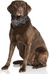 Halloween Dog Collar with Adjustable Removable Cute Bow Tie Pet Collars