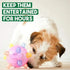Arinda Jumping Activation Ball for Dogs, Flashing Ball with Light and Sounds, Jumps Automatically
