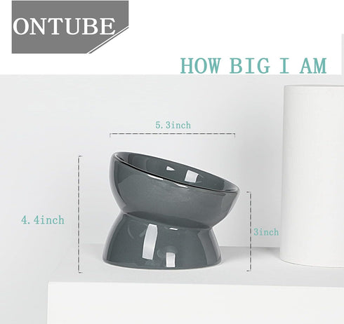 ONTUBE Ceramic Raised Cat Dishes or Small Dog Bowl, Pet Food or Water Bowls,5.3-Inch 10oz (Gray)