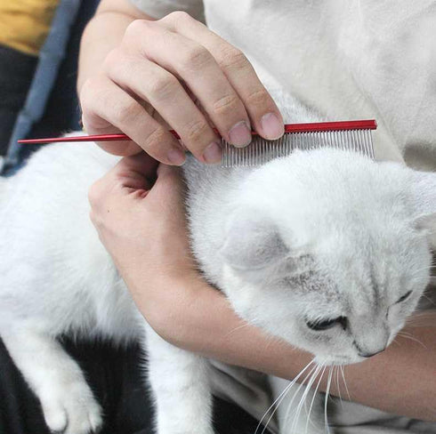 Pet Grooming Comb, Rat Tail Comb for Cat Hair Trimming, Dog Hairstyle Comb, Float Hair Removal for Home Grooming, One