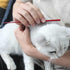 Pet Grooming Comb, Rat Tail Comb for Cat Hair Trimming, Dog Hairstyle Comb, Float Hair Removal for Home Grooming, One