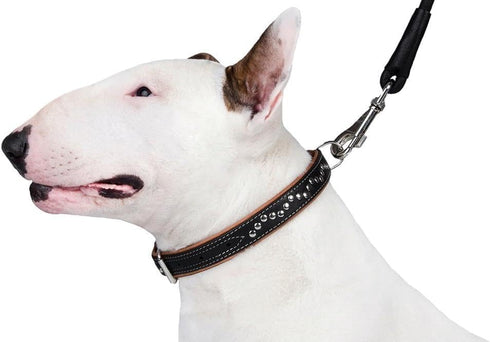 CollarDirect Studded Dog Collar - Leather Pet Collars for Dogs - Soft Padded - Brown Black (Black, Neck fit 23" - 26")