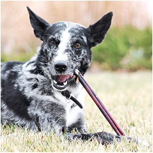EcoKind Pet Treats All-Natural Premium 6 Inch Bully Sticks for Dogs | 16 Oz. Bag, Delicious Protein Rich Chews