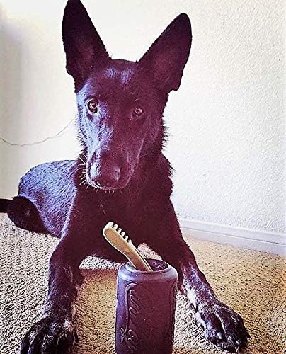 SodaPup Magnum Soda Can Dog Treat Dispenser & Chew Toy, Made in USA, Durable Non-Toxic Natural Rubber