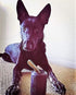 SodaPup Magnum Soda Can Dog Treat Dispenser & Chew Toy, Made in USA, Durable Non-Toxic Natural Rubber