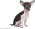Cute Elegant Fancy Suede Leather Dog Collar, 1 Row Bling Rhinestone Crystal, Small, Purple