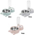 Love Dream Double Dog Cat Bowls - Detachable Stainless Steel Bowl Set with Automatic Water Dispenser (Gray)