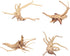 Ipetboom Natural Driftwood for Aquarium, 2pcs Driftwood for Freshwater Fish Tank, Hamster Water Bottle Decor
