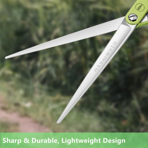 HASHIMOTO Dog Grooming Scissors, Straight Blade, Extremely Light Weight, Matte Surface, Designed for Professionals