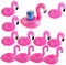 Flamingo Inflates Coasters - Inflatable Drink Holder Float Coasters, 12-Pack