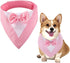 aoozleny Dog Tuxedo Formal Cat Wedding Bandana with Bow Tie - Pet Birthday Costume for Cats and Dogs (Pure Pink, Large)