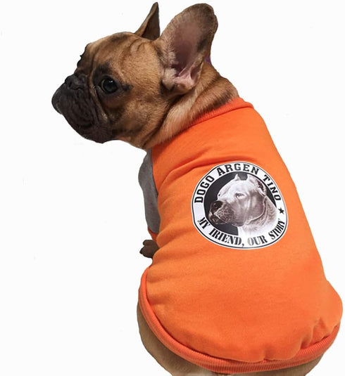 Bulldog Dog Clothes pet Clothes Dog Clothes pet Clothing Dog Clothing Bulldog Sweater (M, Orange)