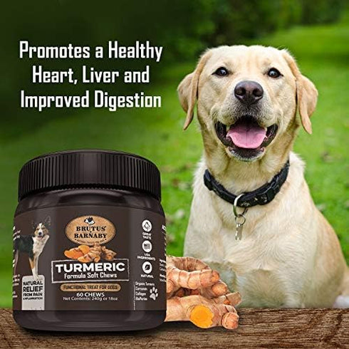 BRUTUS & BARNABY Organic Turmeric for Dogs - Soft Chews with Curcumin, Collagen & Bioprene for Hip and Joint Support