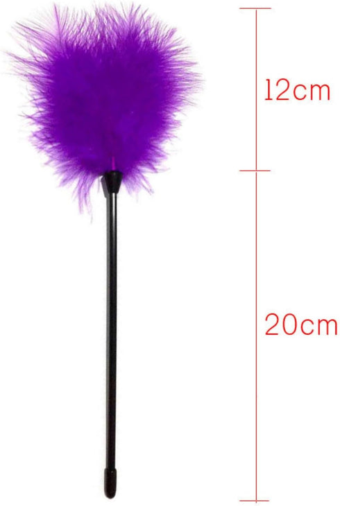 Dzrige Interactive Cat Toys Teaser Wand Black Long Sticks with Purple Soft Plush Tips Funny Pet Feather Supplies