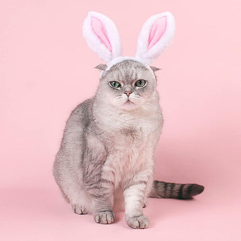 ANIAC Easter Dog Headband for Small Medium Dogs, Plush Hat with Bunny Ears, Cute Pet Easter Costume