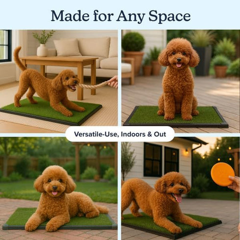 16x20 inch Artificial Grass Puppy Pad with Tray | Reusable Indoor & Outdoor Dog Potty Training Mat System | Washable