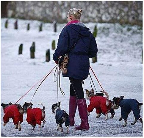 MayPaw Dog Leash Rope Slip Lead, 1/4"-5Ft Sturdy Nylon Puppy Leash for Small & X-Small Dogs