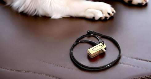 Mythrojan Brass and Steel Pet Training Clicker, Puppy Dog Training Cricket Clicker with U.S. Engraved Military Gear