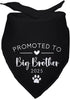 Yishuliwu Promoted to Big Brother 2025 Black Pet Dog Bandanas Triangle Scarf Bandanas