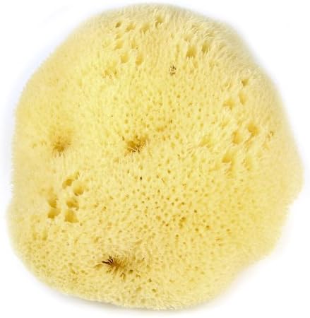 Natural Sponges Hermit Crab Natural SEA Sponge SPONGES - for Cage & Water Dish